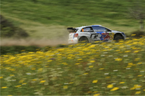 Rally Portugal 2013