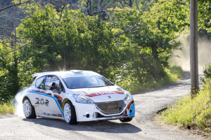 TEST 208 T16  VAR (F) 03-04/06/2013