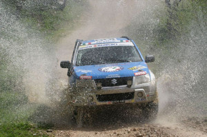 Andrea Dalmazzini, Daniele Fiorino (Suzuki Vitara #109, Malatesta)