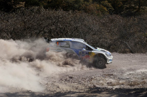 Rally Mexico 2014