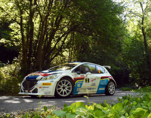 Paolo Andreucci, Anna Andreussi (Peugeot 208 T16, #3) Racing Lions;