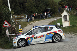 Paolo Andreucci, Anna Andreussi (Peugeot 208 T16, #3 Racing Lion SRL);