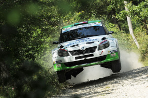 Umberto Scandola, Guido DAmore (Skoda Fabia S2000, #101) Car Racing;