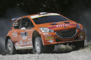 Paolo Andreucci, Anna Andreussi (Peugeot 208 T16 R5 #1)