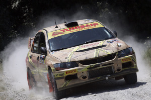 Gianmarco Donetto, Marco Pagani (Mitsubishi Evo IX N4 #19, Colombi Racing Team)