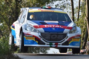 Paolo Andreucci, Anna Andreussi (Peugeot 208 T16 R5 #1)