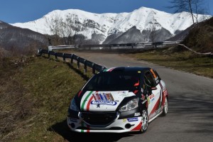 Giorgio Bernardi, Enrico Ghietti (Peugeot 208 R2B #31, Meteco Corse)
