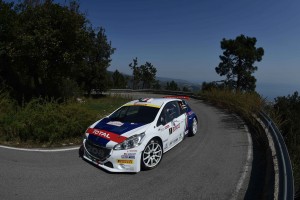 Paolo Andreucci, Anna Andreussi (Peugeot 208 T16 R5 #1, F.P.F. Sport)