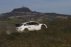 taddei-1