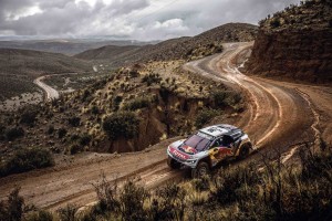 Sebastien Loeb