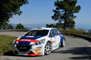 Paolo Andreucci, Anna Andreussi (Peugeot 208T16 #4);