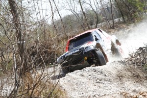 News 25 marzo 2017